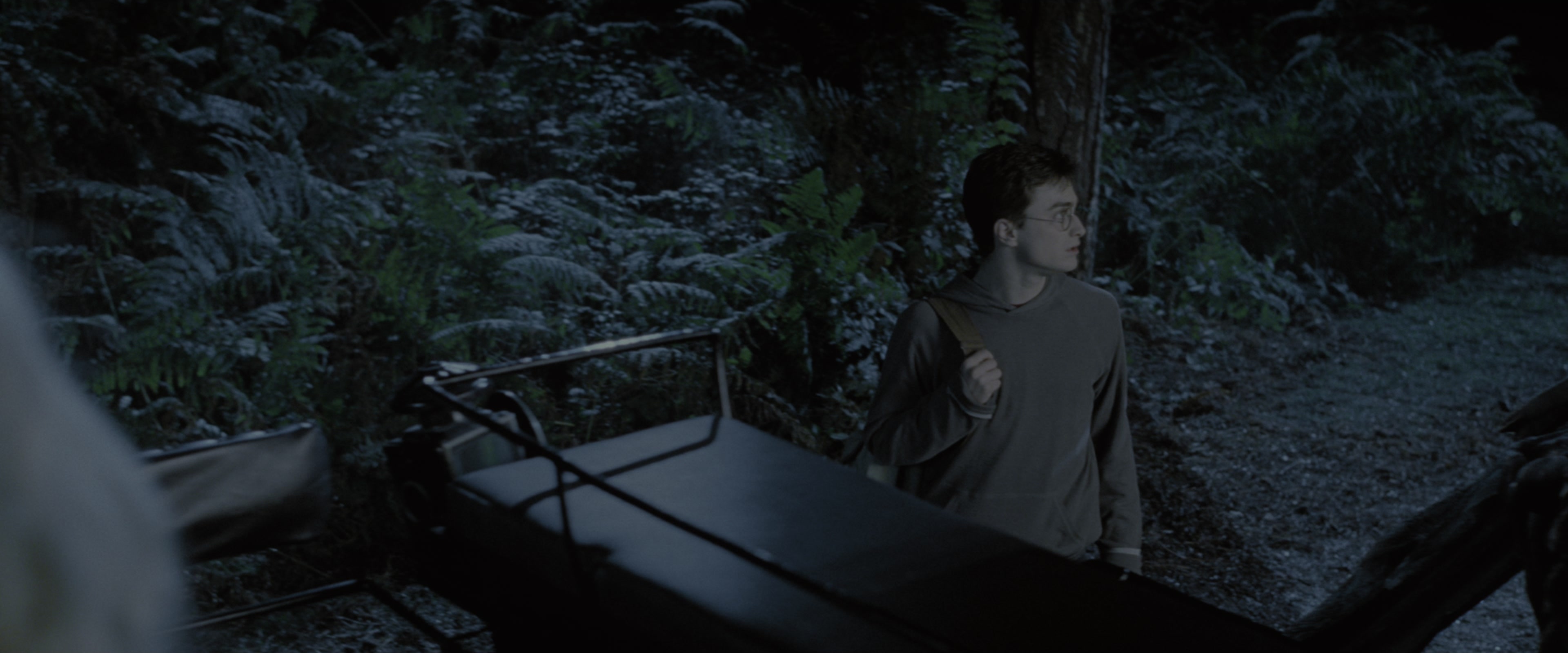 Harry Potter and the Order of the Phoenix (2007), wide, 2.40:1 — film still