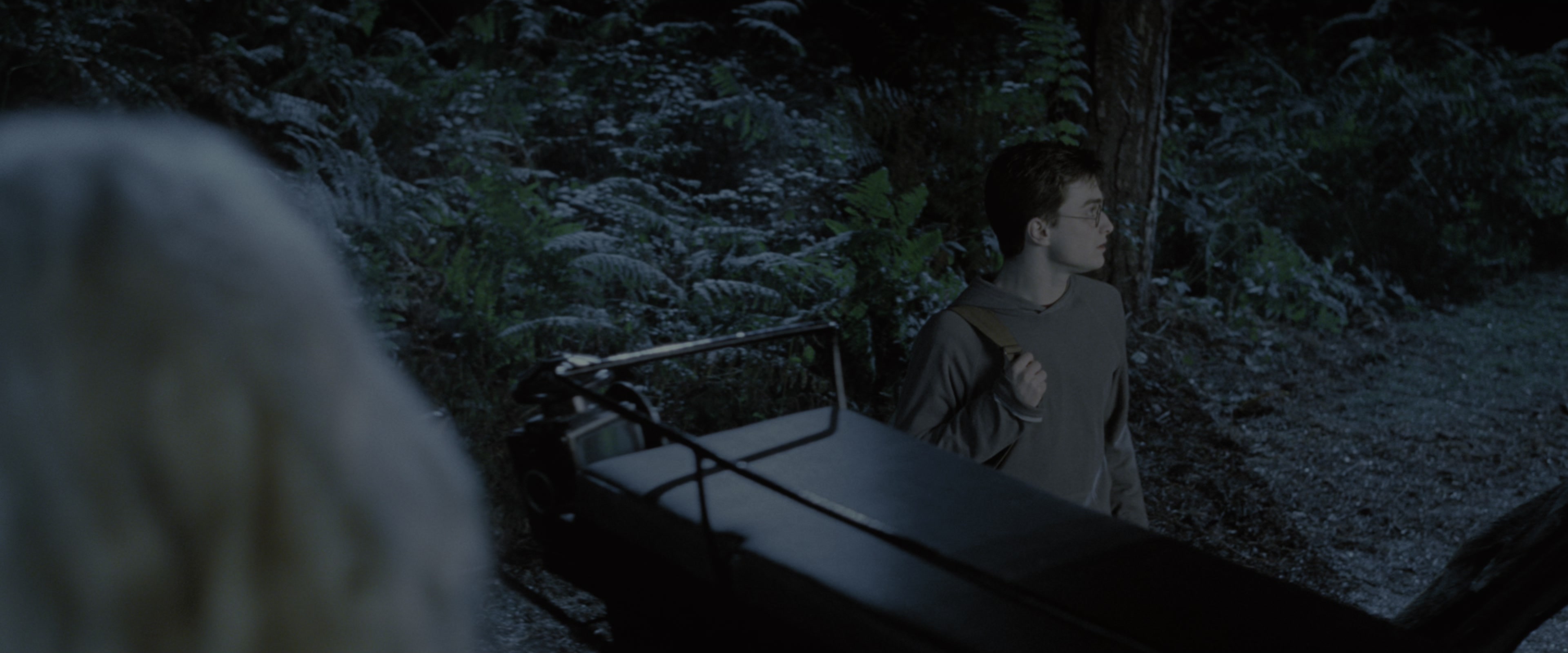 Harry Potter and the Order of the Phoenix (2007), wide, 2.40:1 — film still