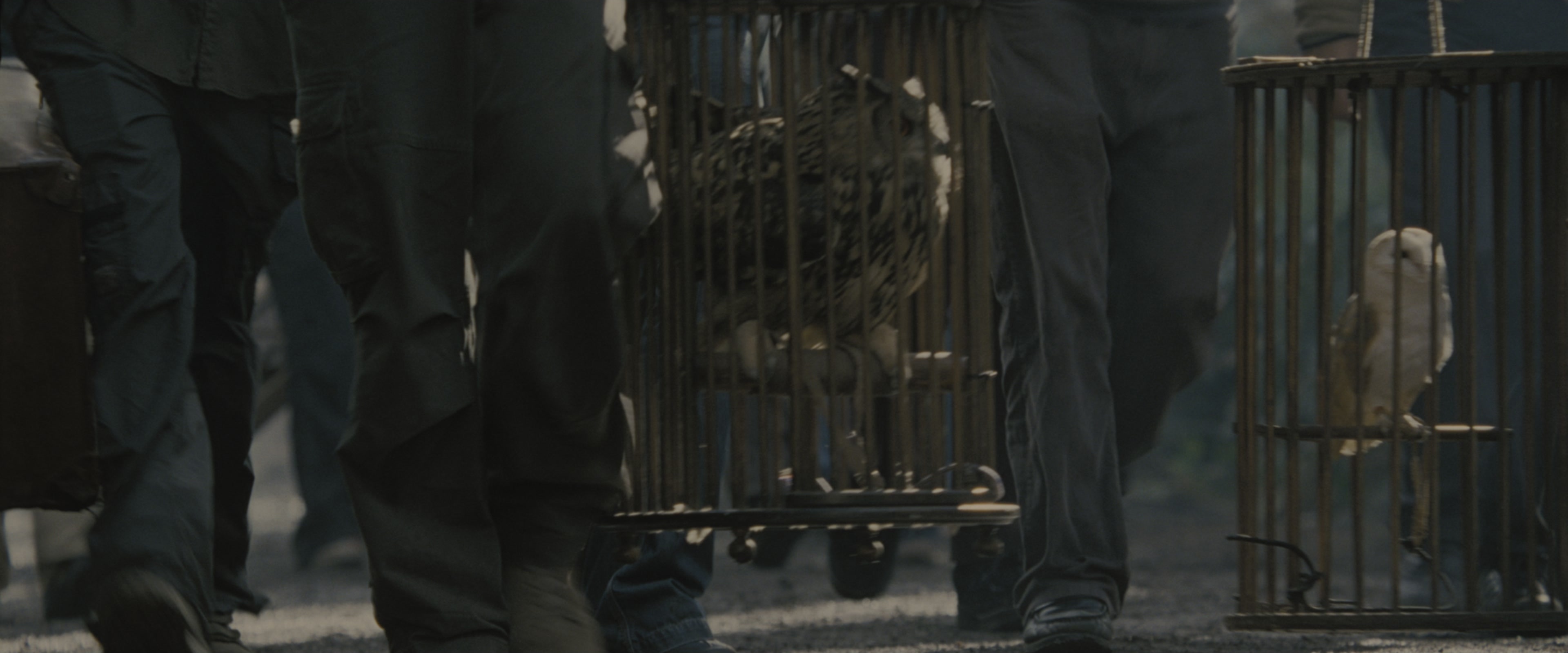 Harry Potter and the Order of the Phoenix (2007), wide, 2.40:1 — film still