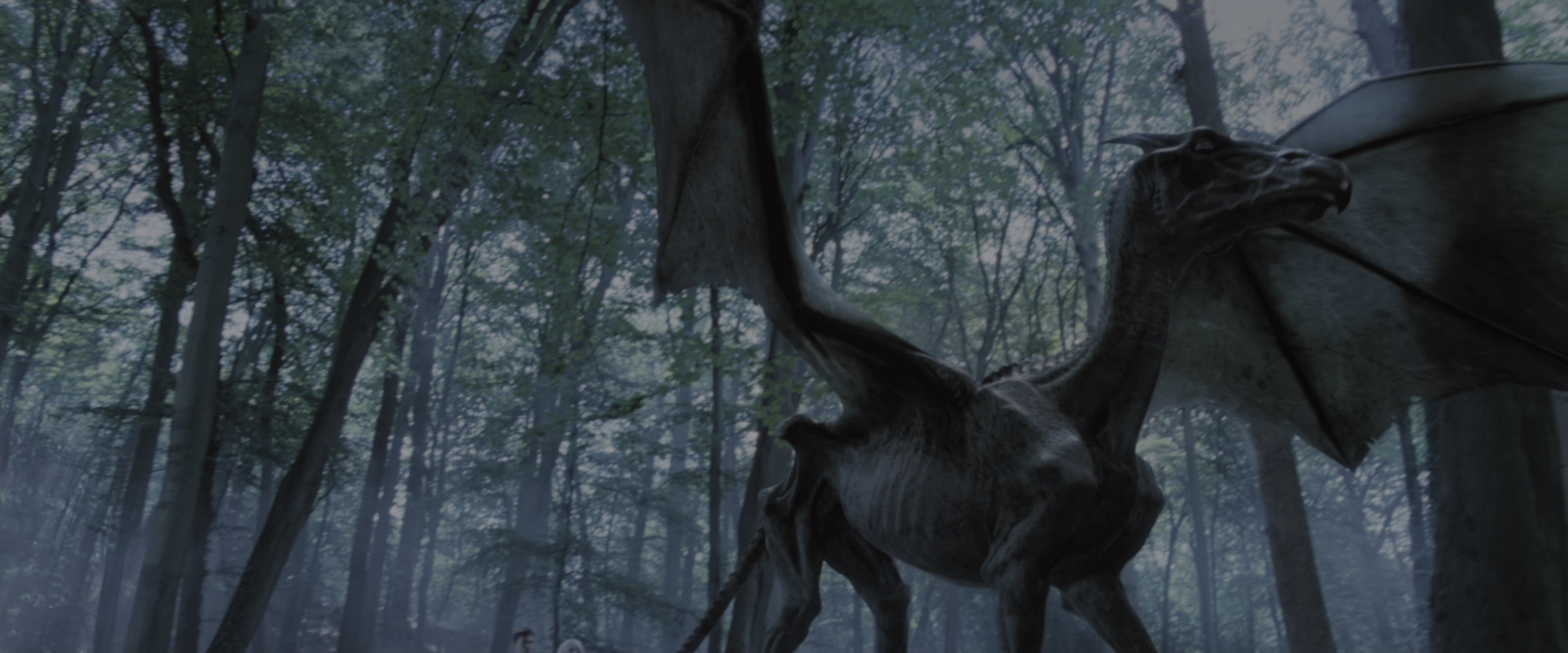Harry Potter and the Order of the Phoenix (2007), wide, 2.40:1 — film still