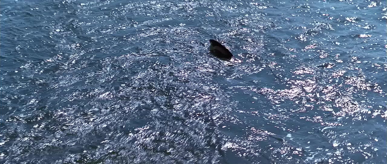 Joe Versus the Volcano (1990), unknown, 2.35:1 — film still