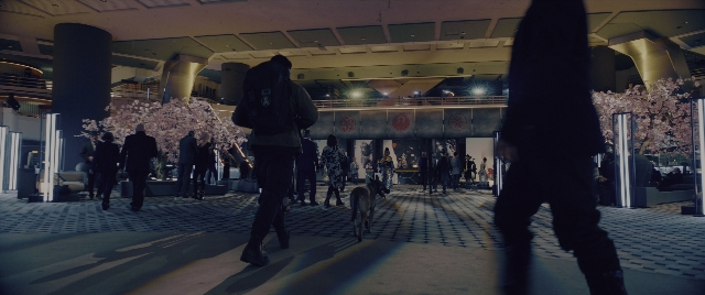 Wide shot frame from John Wick: Chapter 4 — walking, dog, night