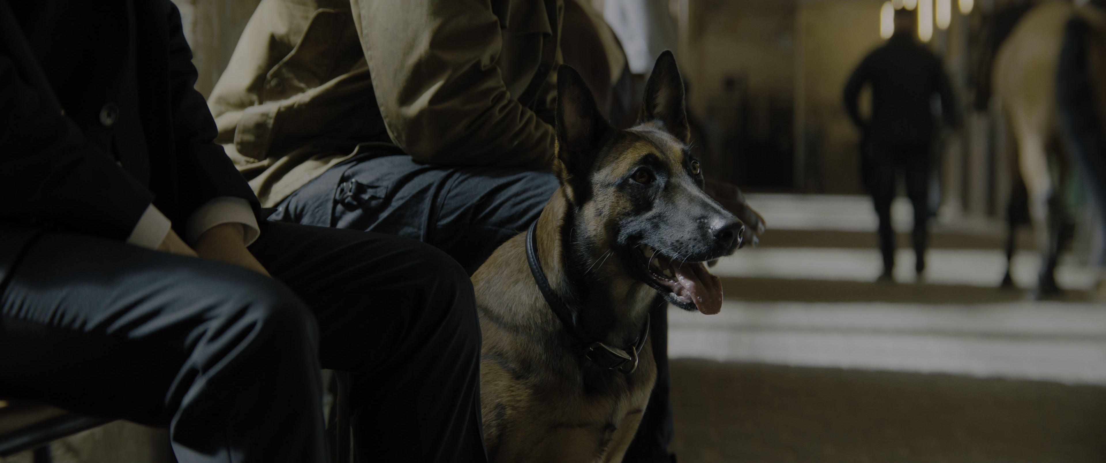 John Wick: Chapter 4 (2023), wide, 2.39:1 — film still