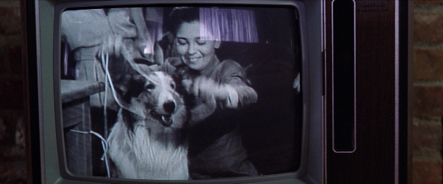 Wide shot frame from Man on the Moon — standing, dog, television