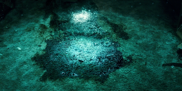 Wide shot frame from Stranger Things — animal, water
