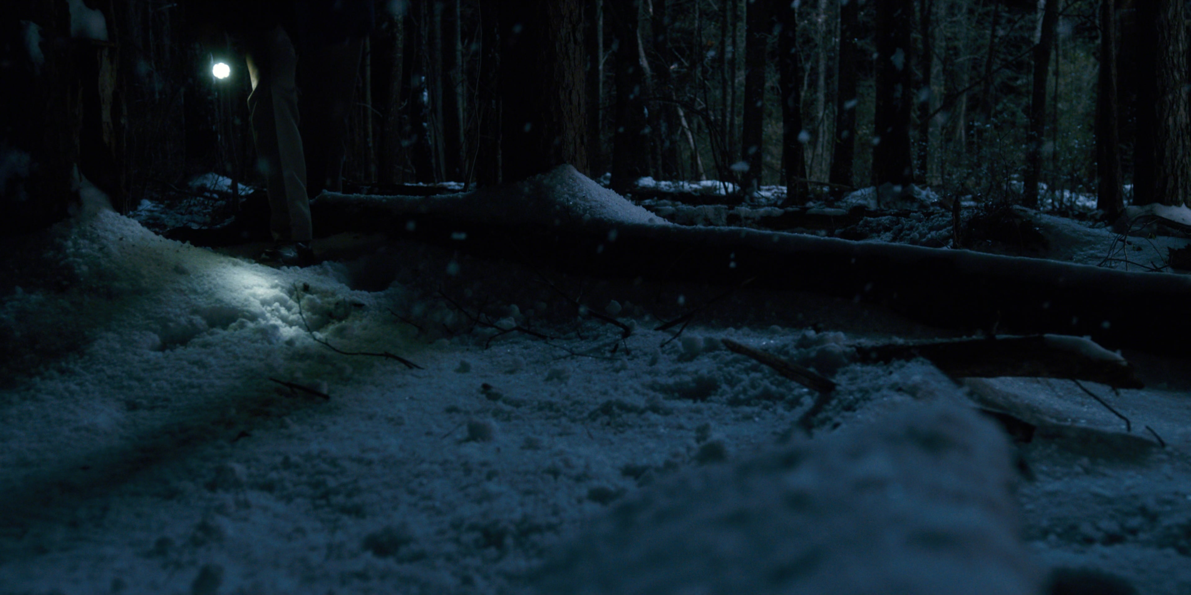 Stranger Things (2016), wide, 2.00:1 — film still