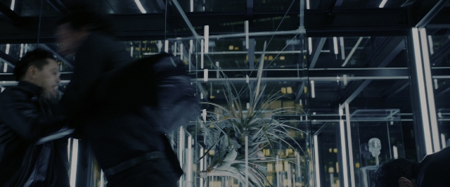 Wide shot frame from John Wick: Chapter 3 - Parabellum — walking, glass, person