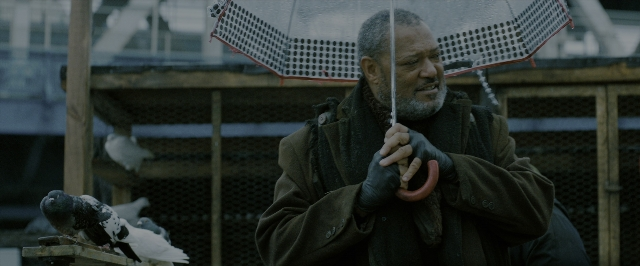 Wide shot frame from John Wick: Chapter 3 - Parabellum — standing, beard, face