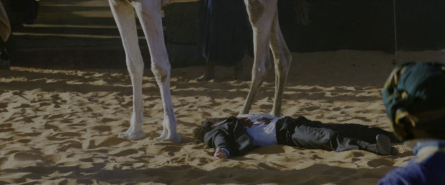 Wide shot frame from John Wick: Chapter 3 - Parabellum — standing, camel, person