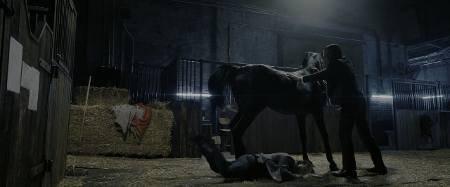 Wide shot frame from John Wick: Chapter 3 - Parabellum — standing, night, horse