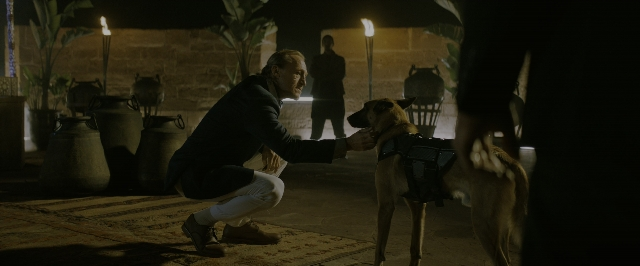 Wide shot frame from John Wick: Chapter 3 - Parabellum — standing, room, dog