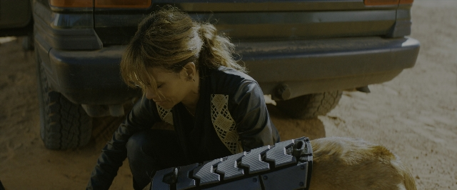 Wide shot frame from John Wick: Chapter 3 - Parabellum — dog, car, hair