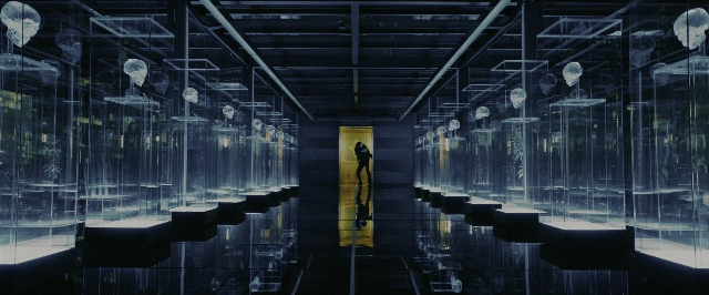 Wide shot frame from John Wick: Chapter 3 - Parabellum — door, glass, building