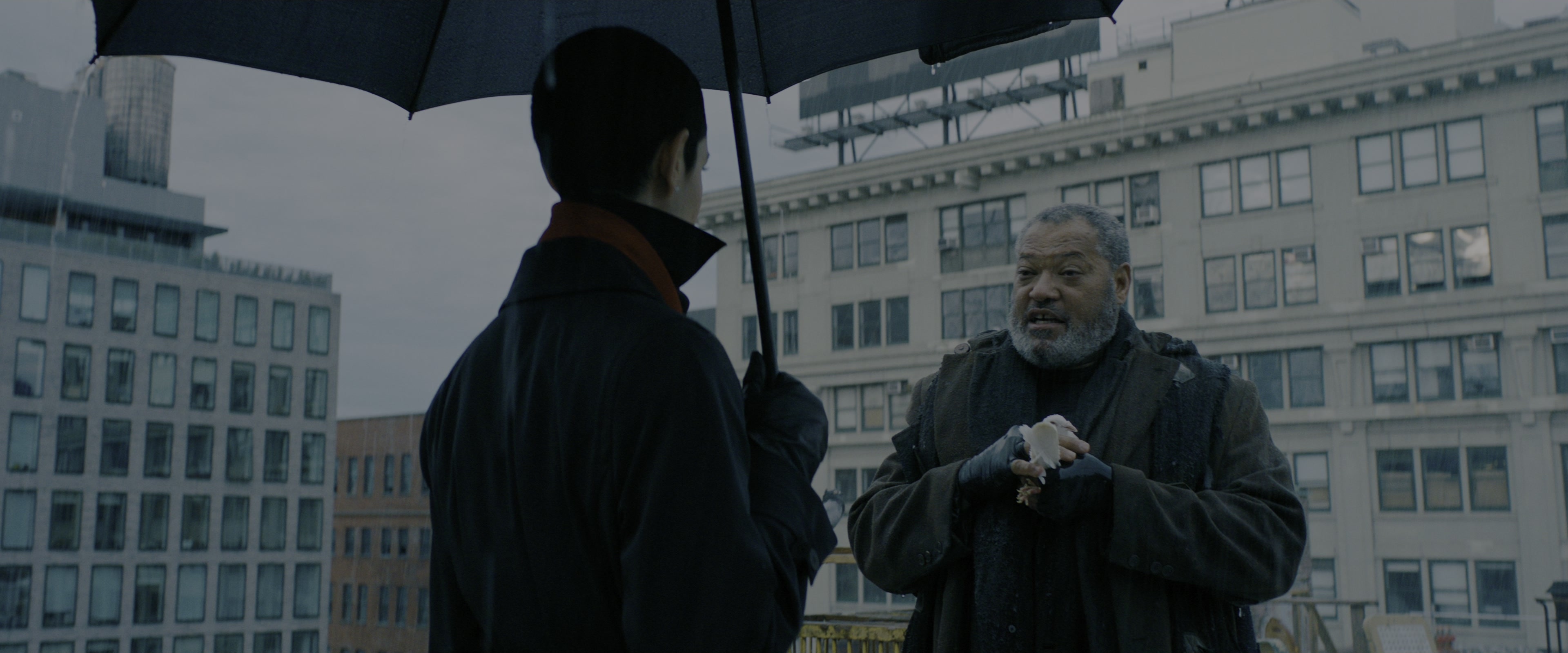 John Wick: Chapter 3 - Parabellum (2019), wide, 2.40:1 — film still