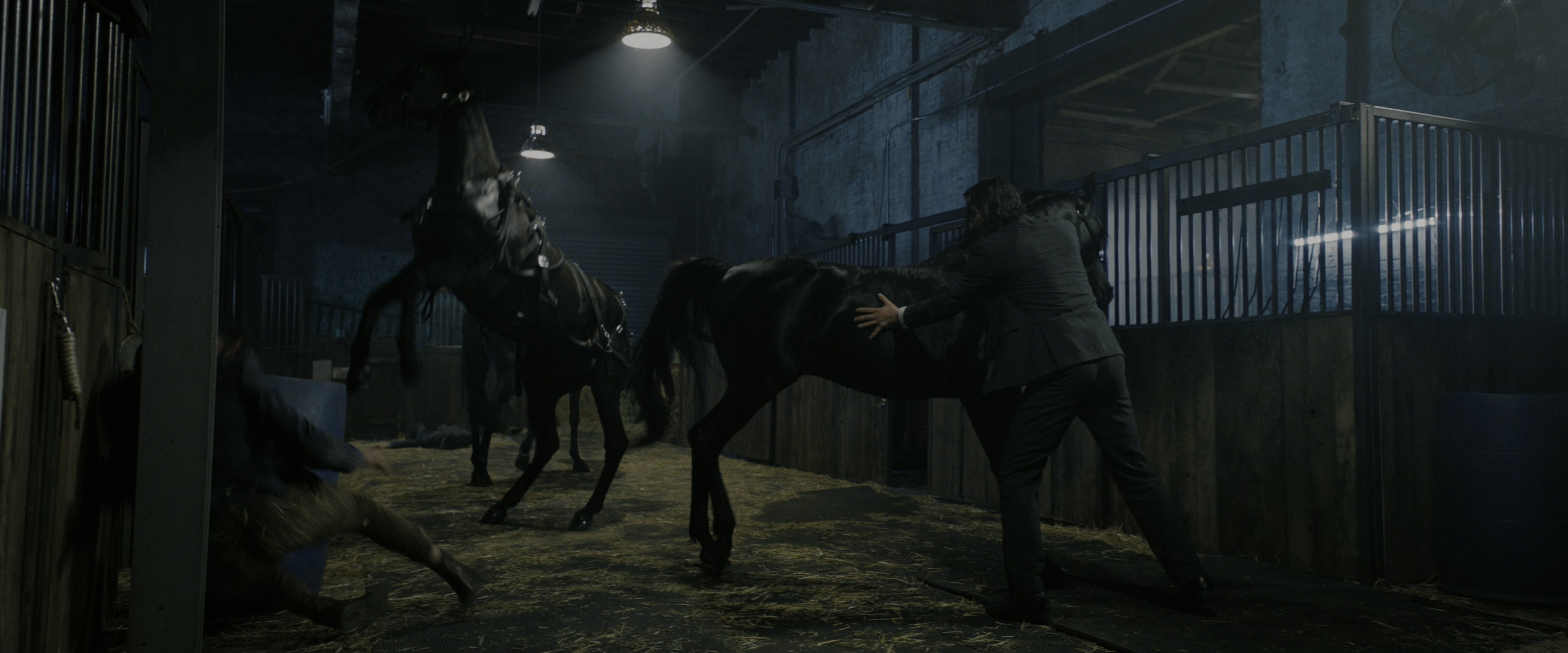 John Wick: Chapter 3 - Parabellum (2019), wide, 2.40:1 — film still