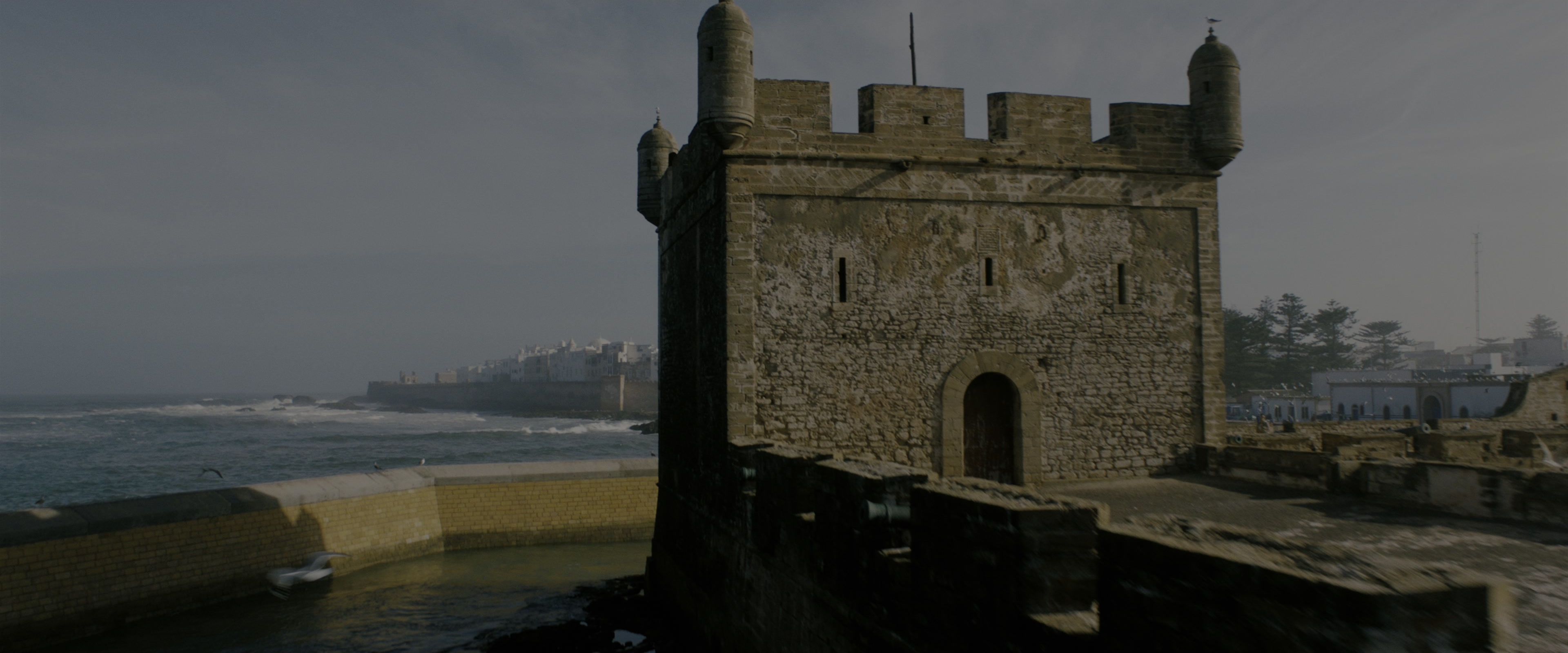 John Wick: Chapter 3 - Parabellum (2019), wide, 2.40:1 — film still