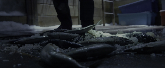 Wide shot frame from Power Rangers — standing, bed, fish