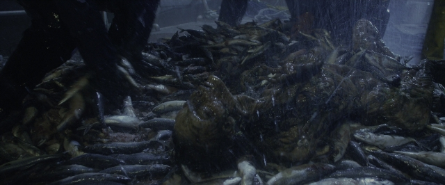 Wide shot frame from Power Rangers — water, fish, person