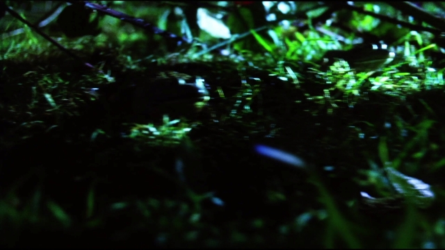 Frame from Practical Magic — water, fish