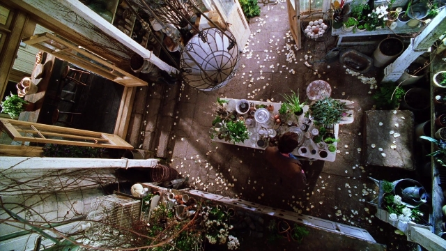 Frame from Practical Magic — houseplant
