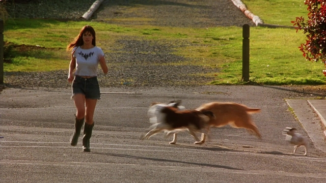 Wide shot frame from Practical Magic — walking, street, dog