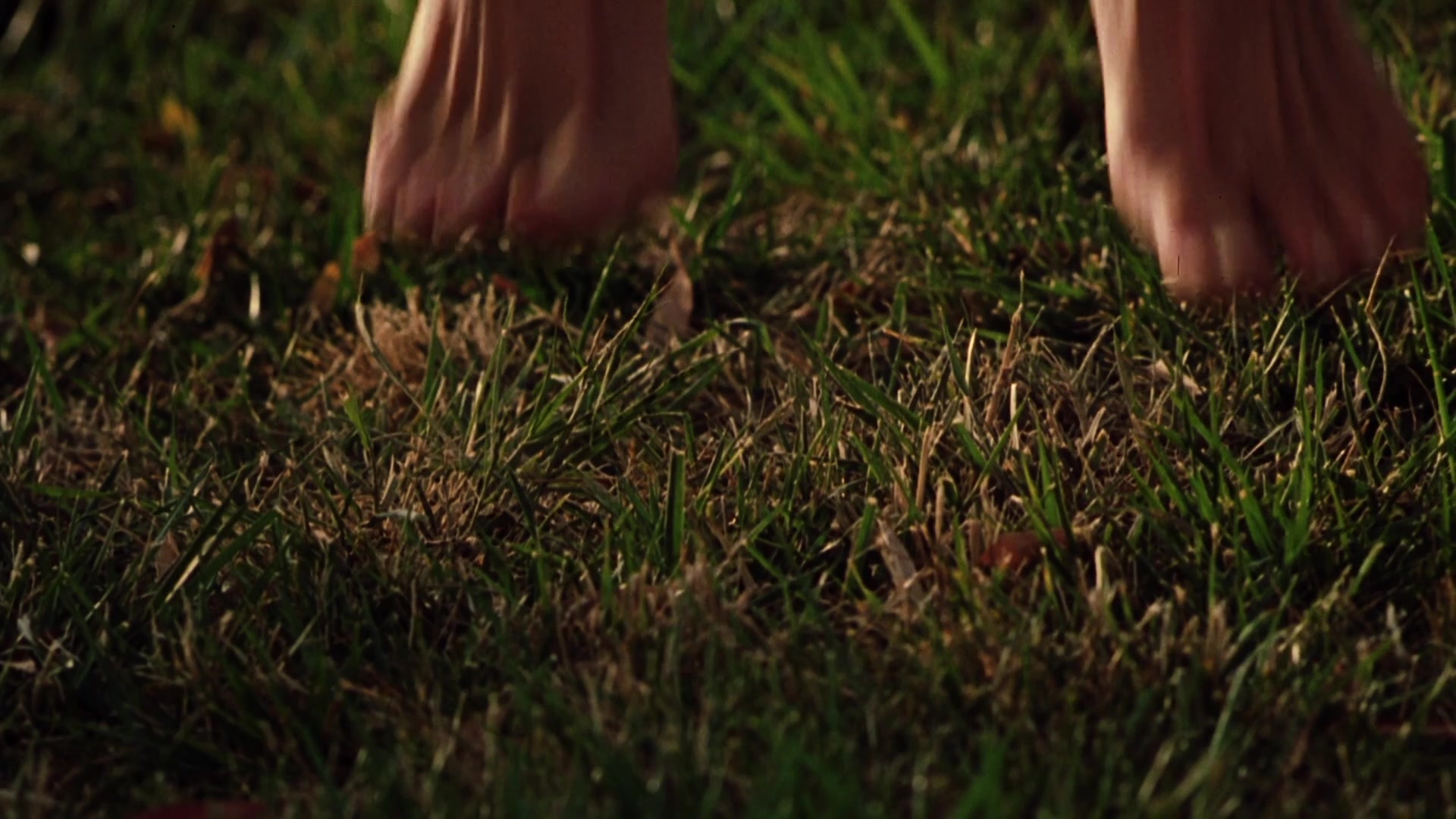 Practical Magic (1998), wide, 1.78:1 — film still
