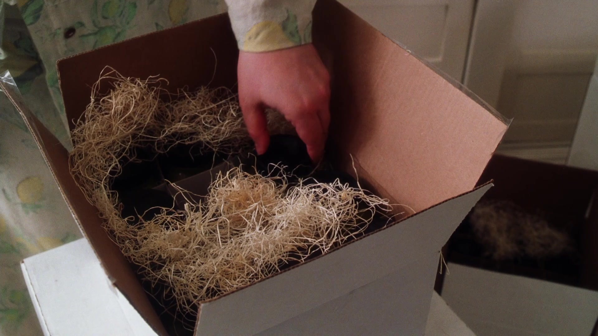 Practical Magic (1998), unknown, 1.78:1 — film still