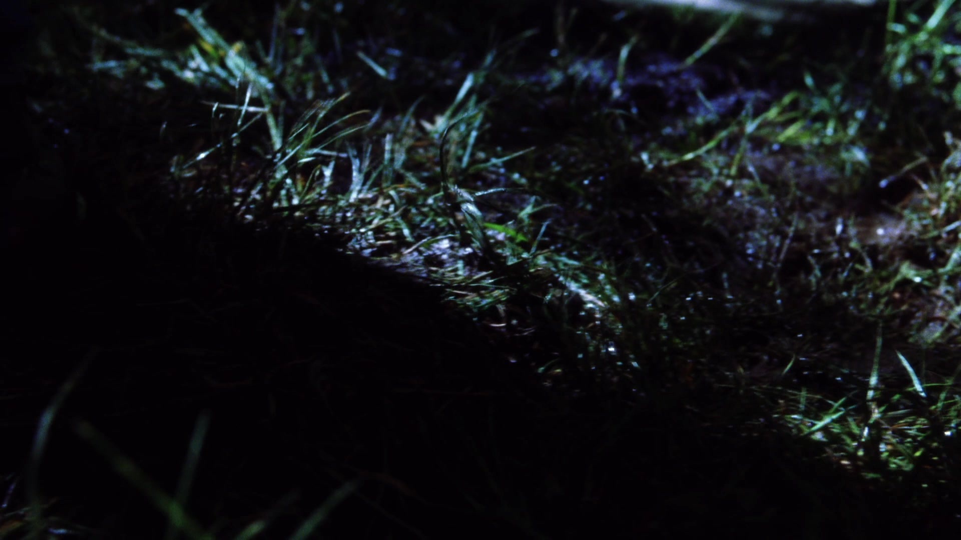 Practical Magic (1998), unknown, 1.78:1 — film still
