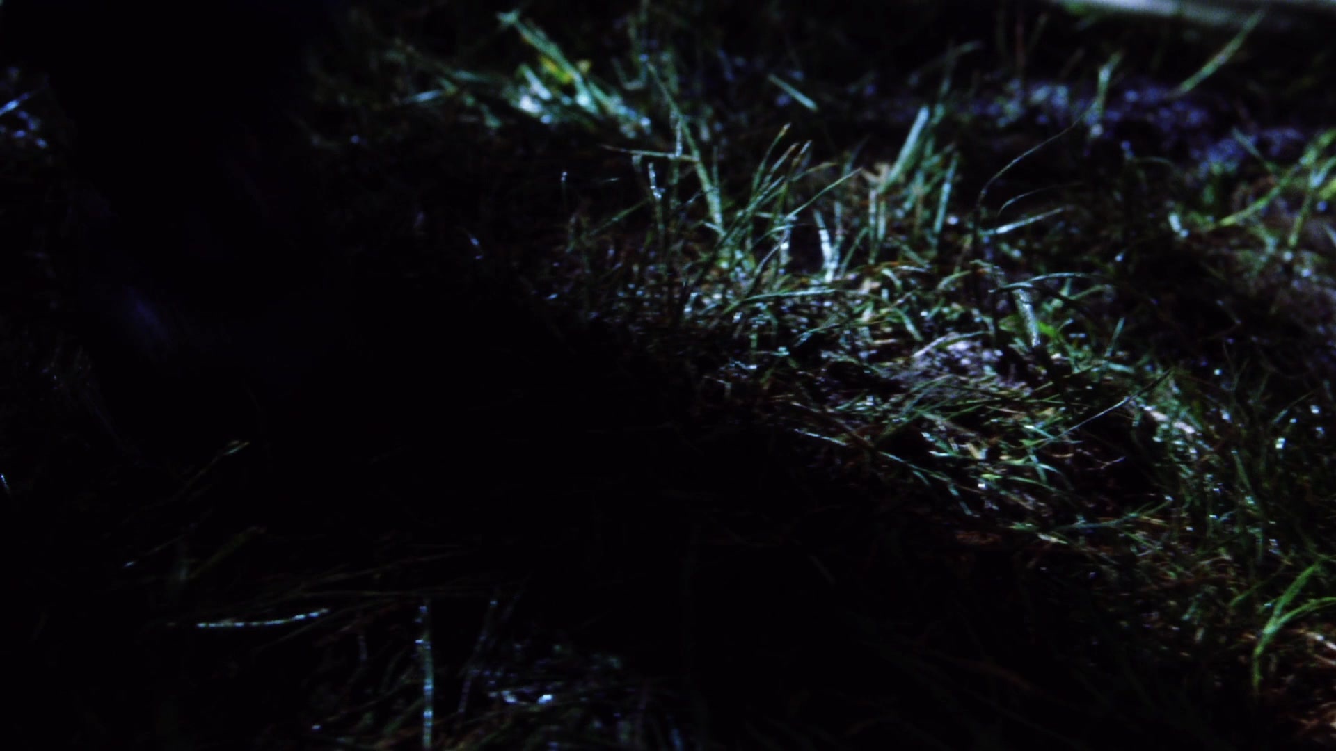 Practical Magic (1998), unknown, 1.78:1 — film still