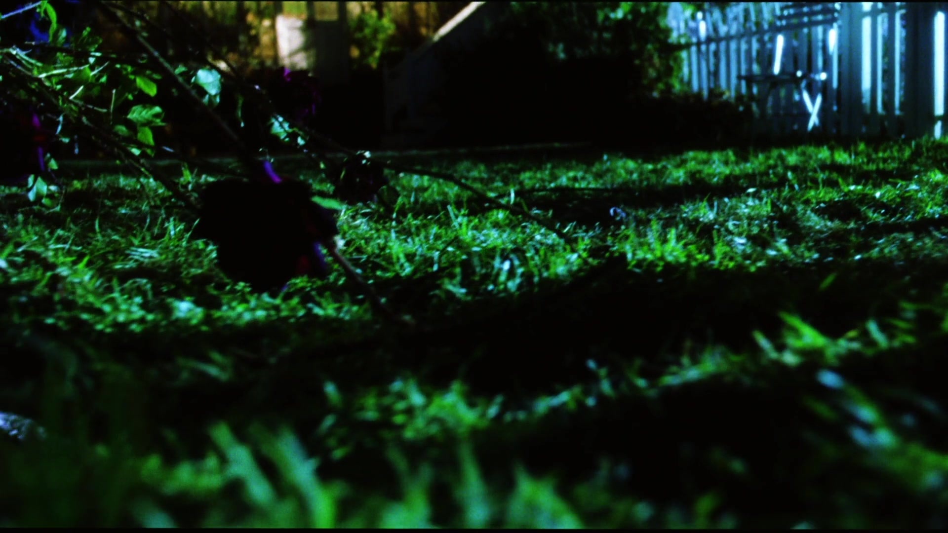 Practical Magic (1998), wide, 1.78:1 — film still