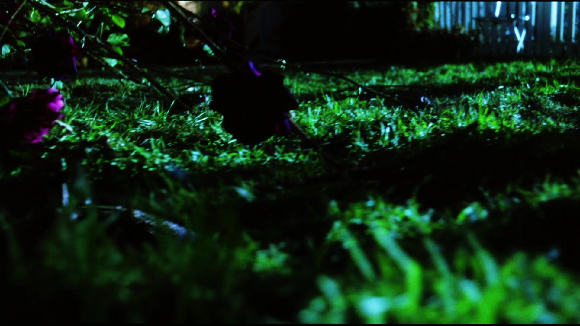Practical Magic (1998), wide, 1.78:1 — film still