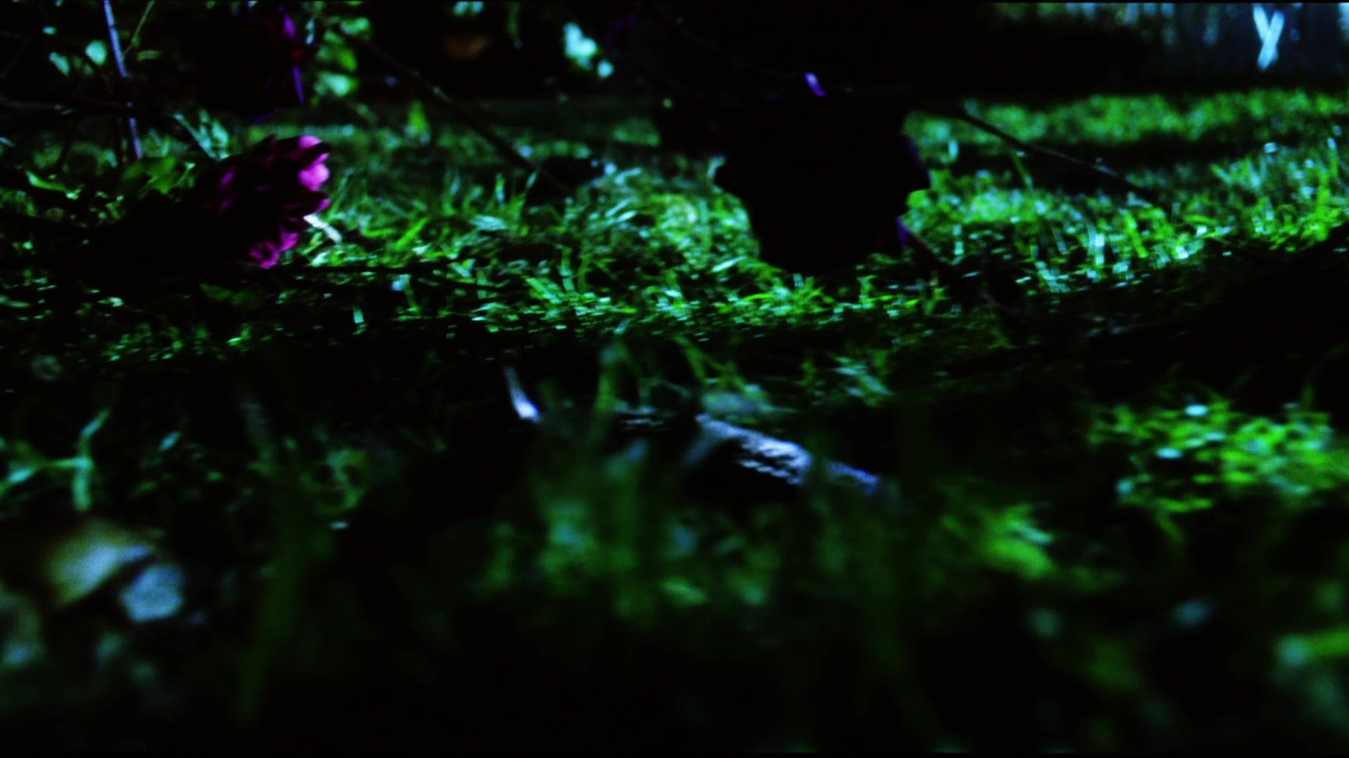 Practical Magic (1998), wide, 1.78:1 — film still