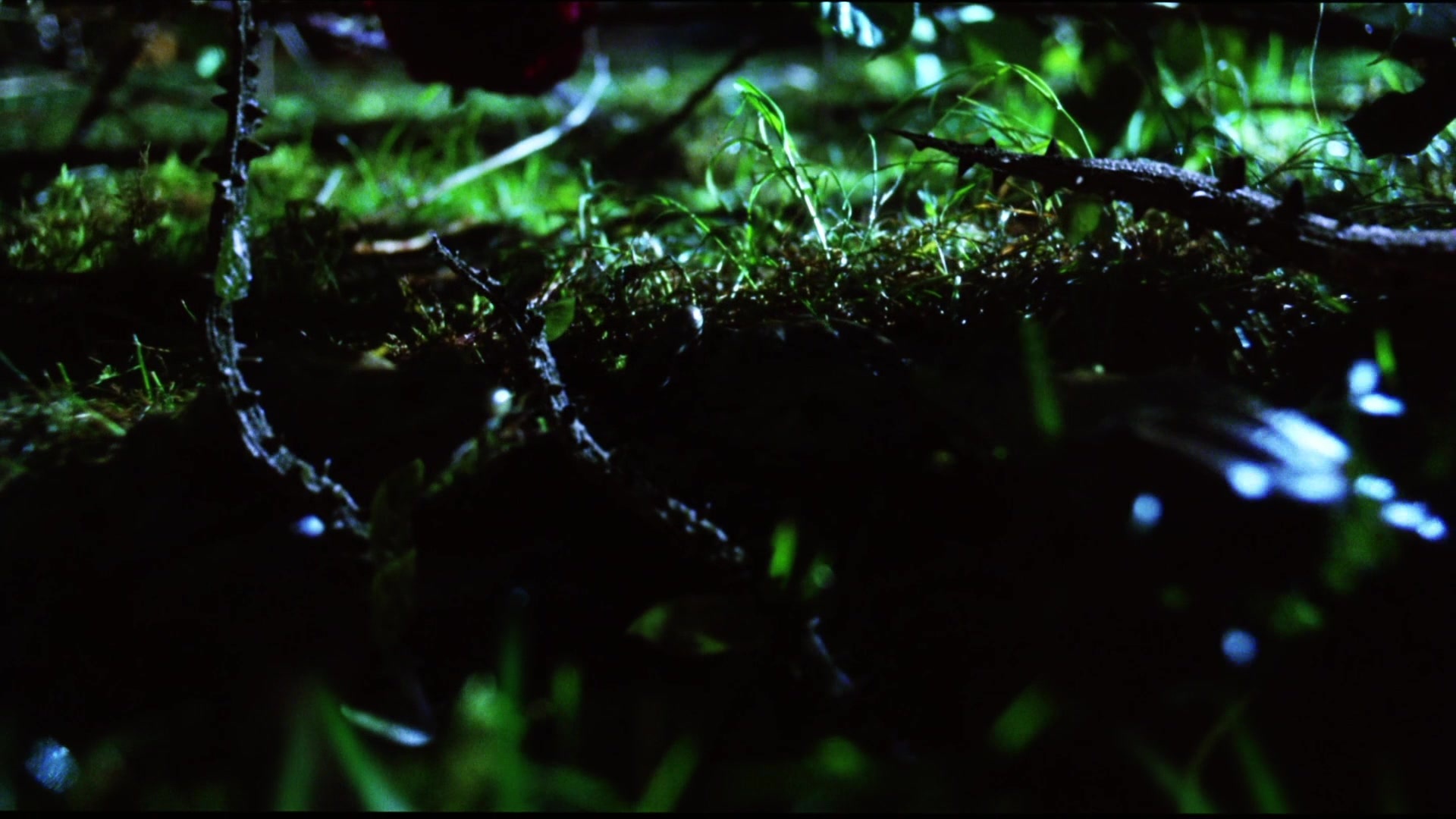 Practical Magic (1998), wide, 1.78:1 — film still