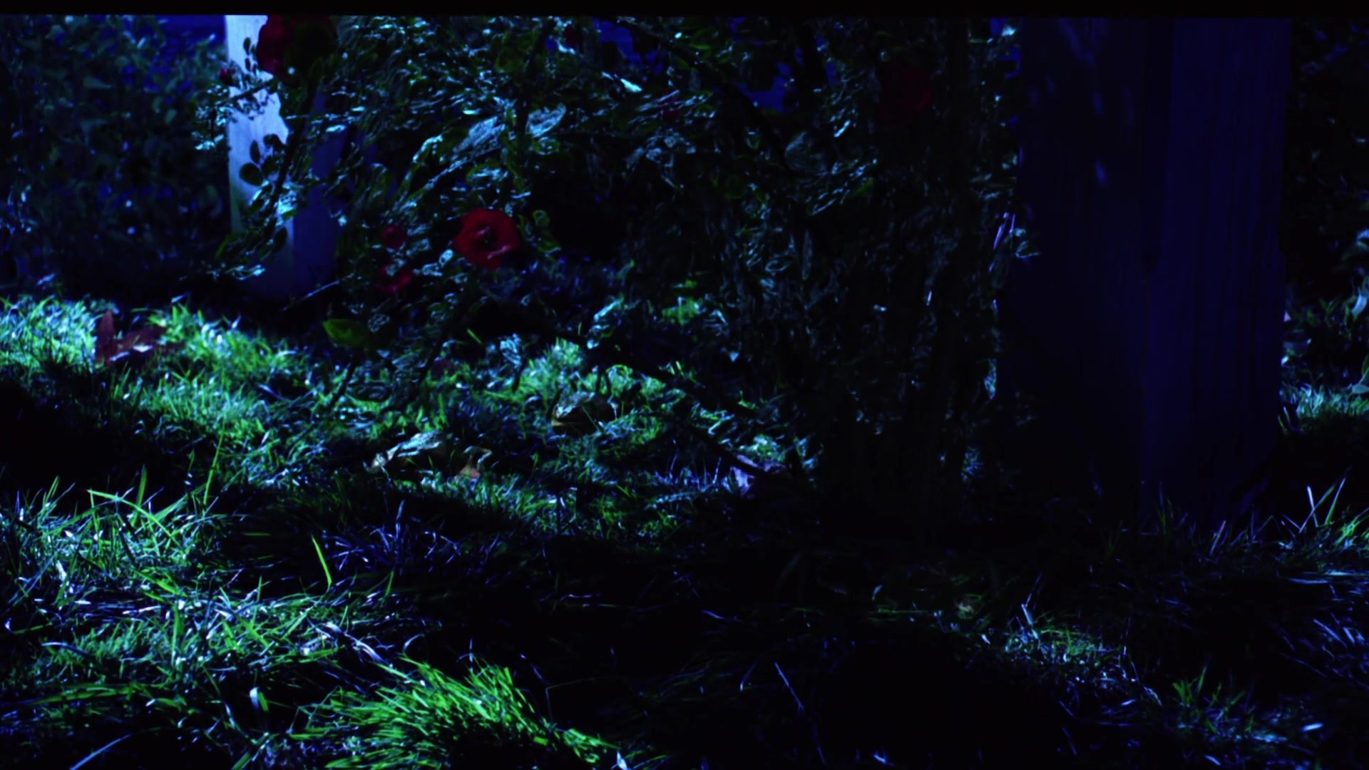 Practical Magic (1998), wide, 1.78:1 — film still