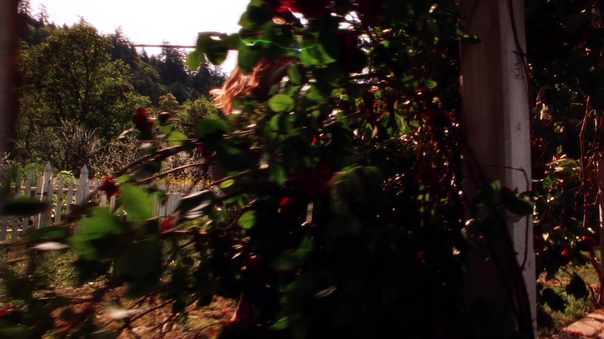 Practical Magic (1998), wide, 1.78:1 — film still