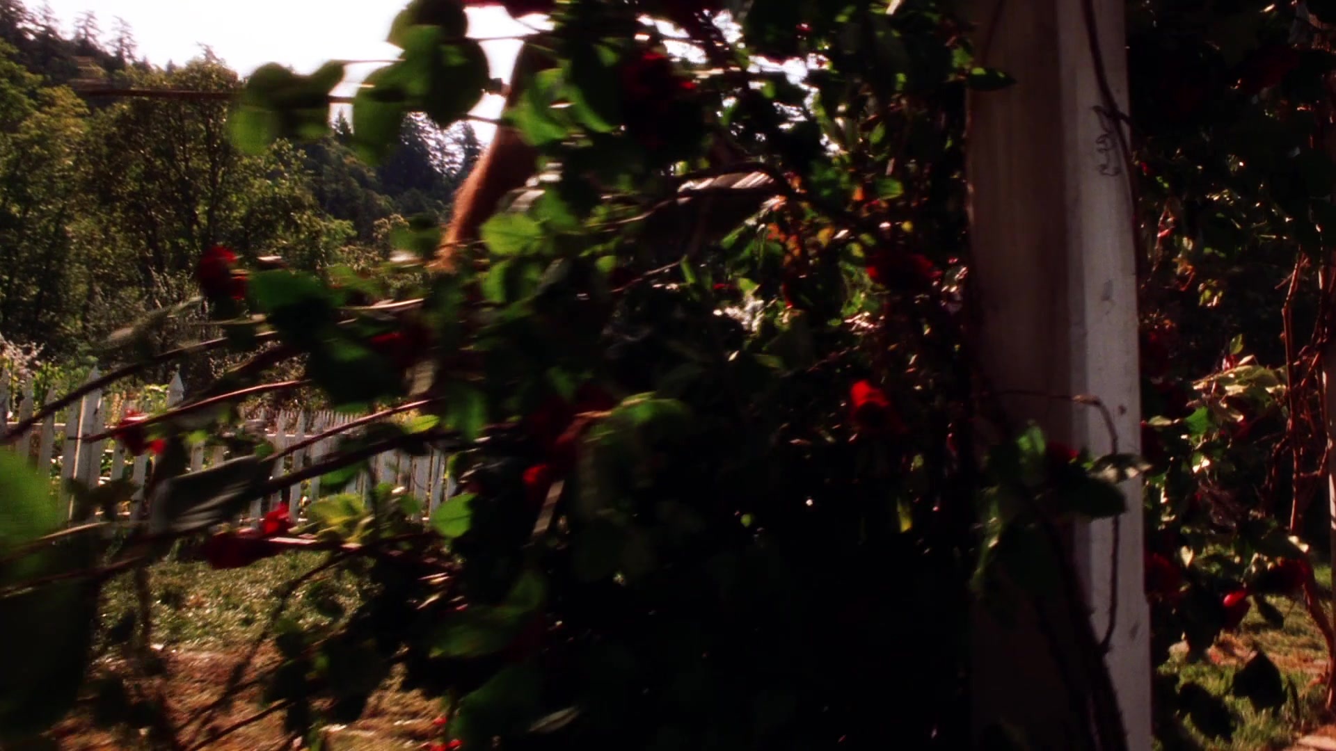 Practical Magic (1998), wide, 1.78:1 — film still