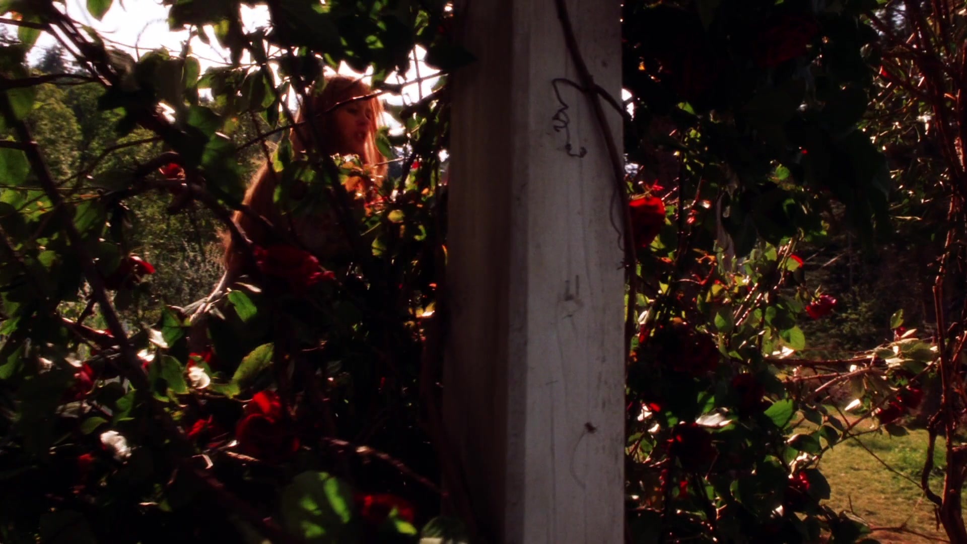 Practical Magic (1998), wide, 1.78:1 — film still