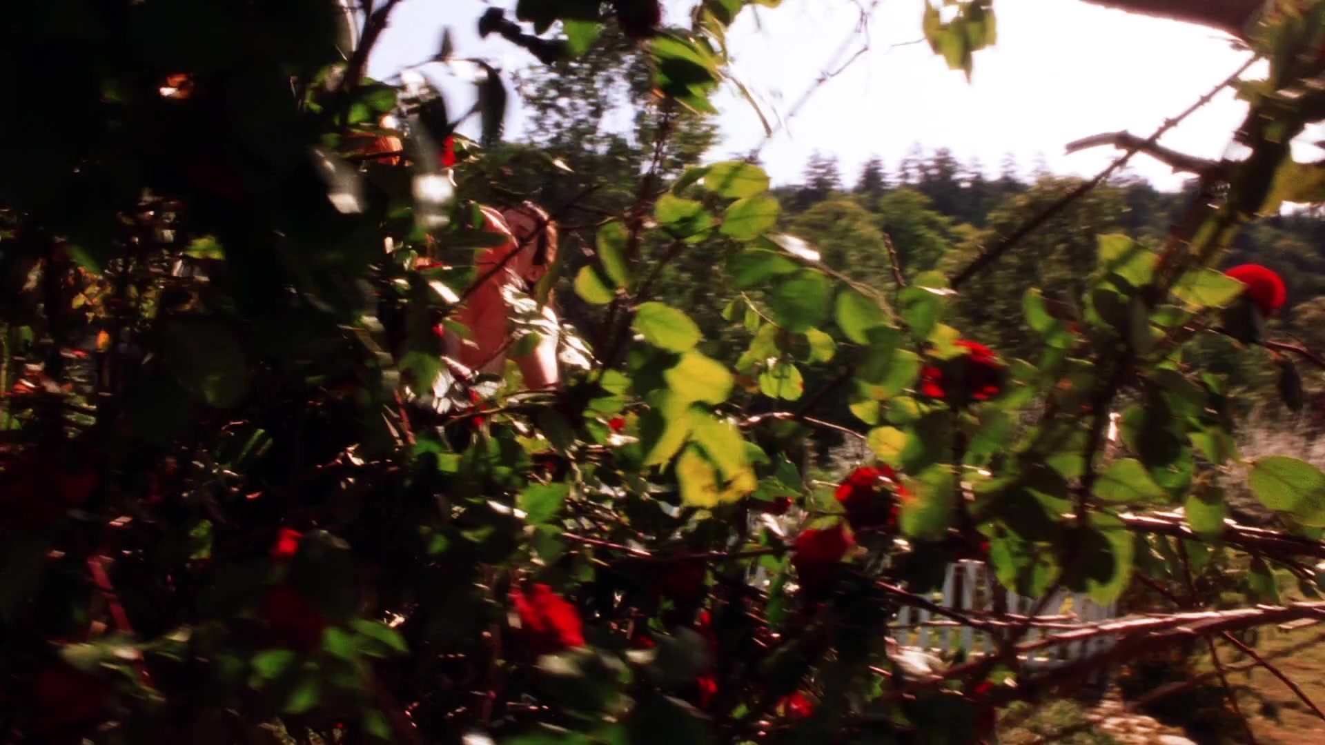 Practical Magic (1998), wide, 1.78:1 — film still