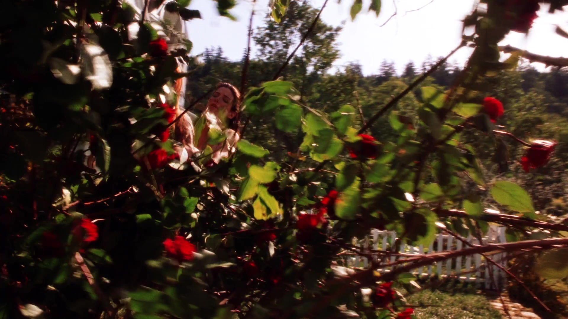 Practical Magic (1998), wide, 1.78:1 — film still