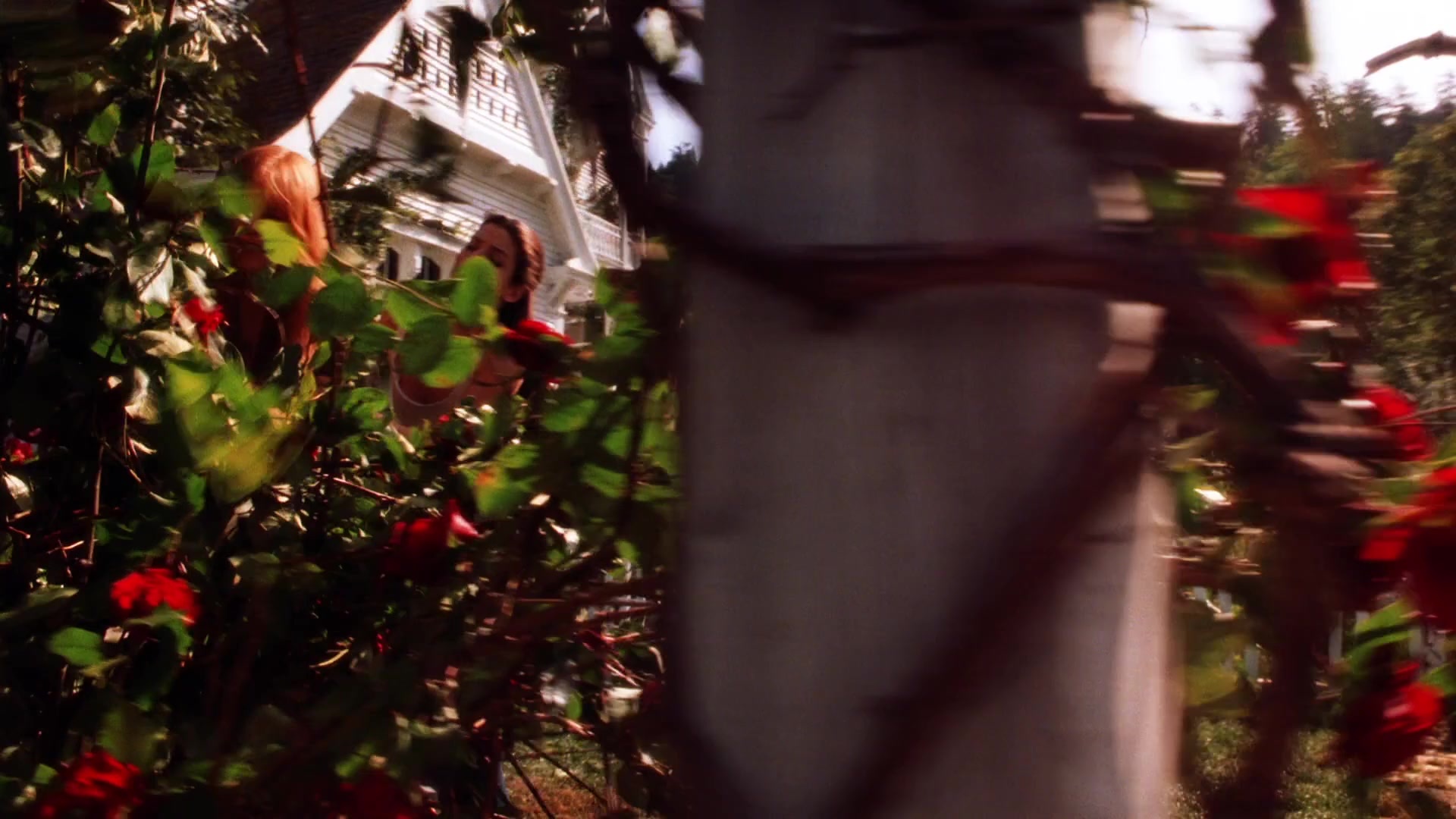 Practical Magic (1998), wide, 1.78:1 — film still