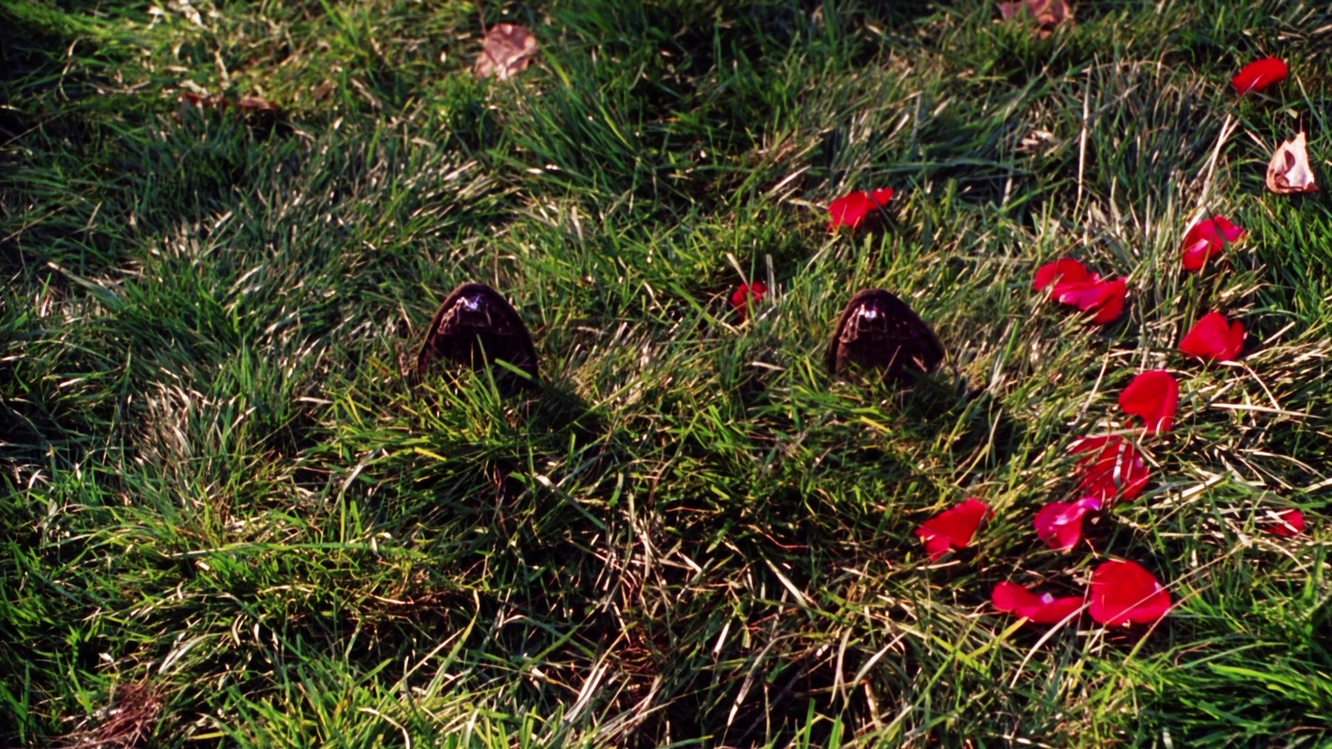 Practical Magic (1998), wide, 1.78:1 — film still