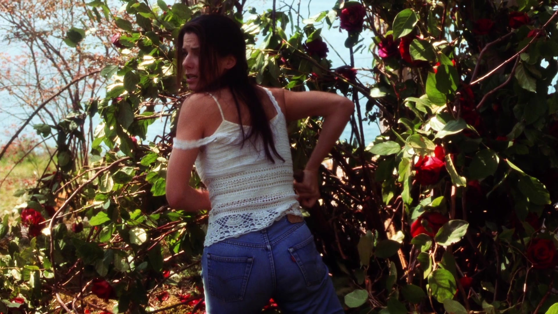 Practical Magic (1998), wide, 1.78:1 — film still