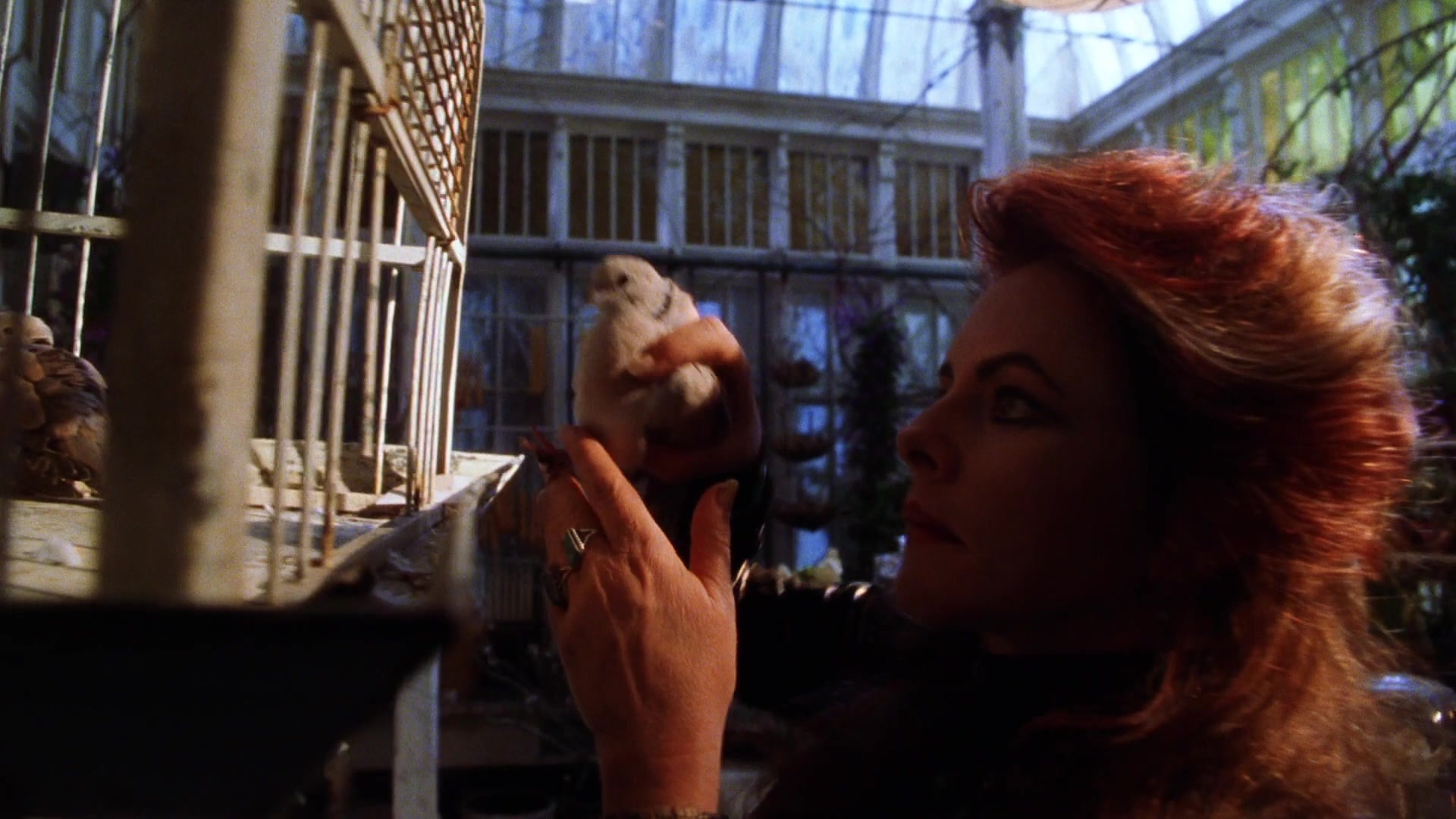 Practical Magic (1998), wide, 1.78:1 — film still