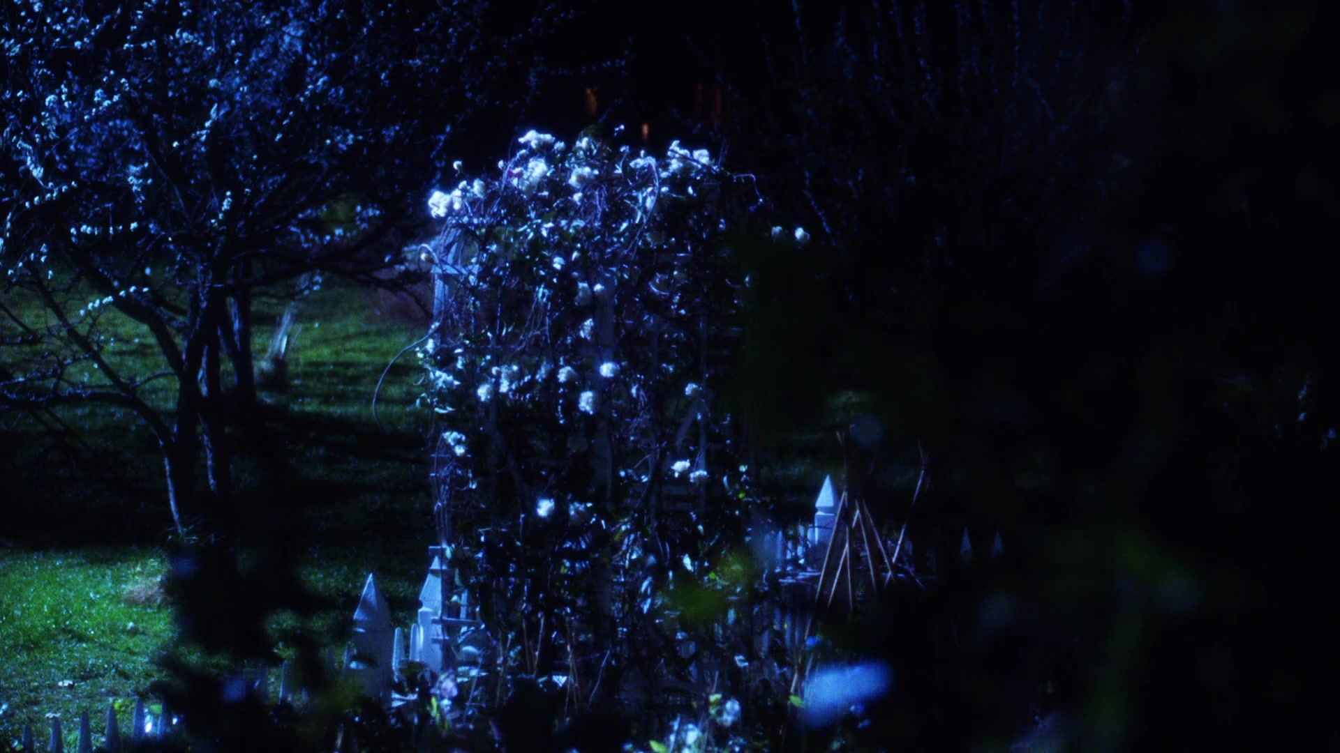 Practical Magic (1998), wide, 1.78:1 — film still