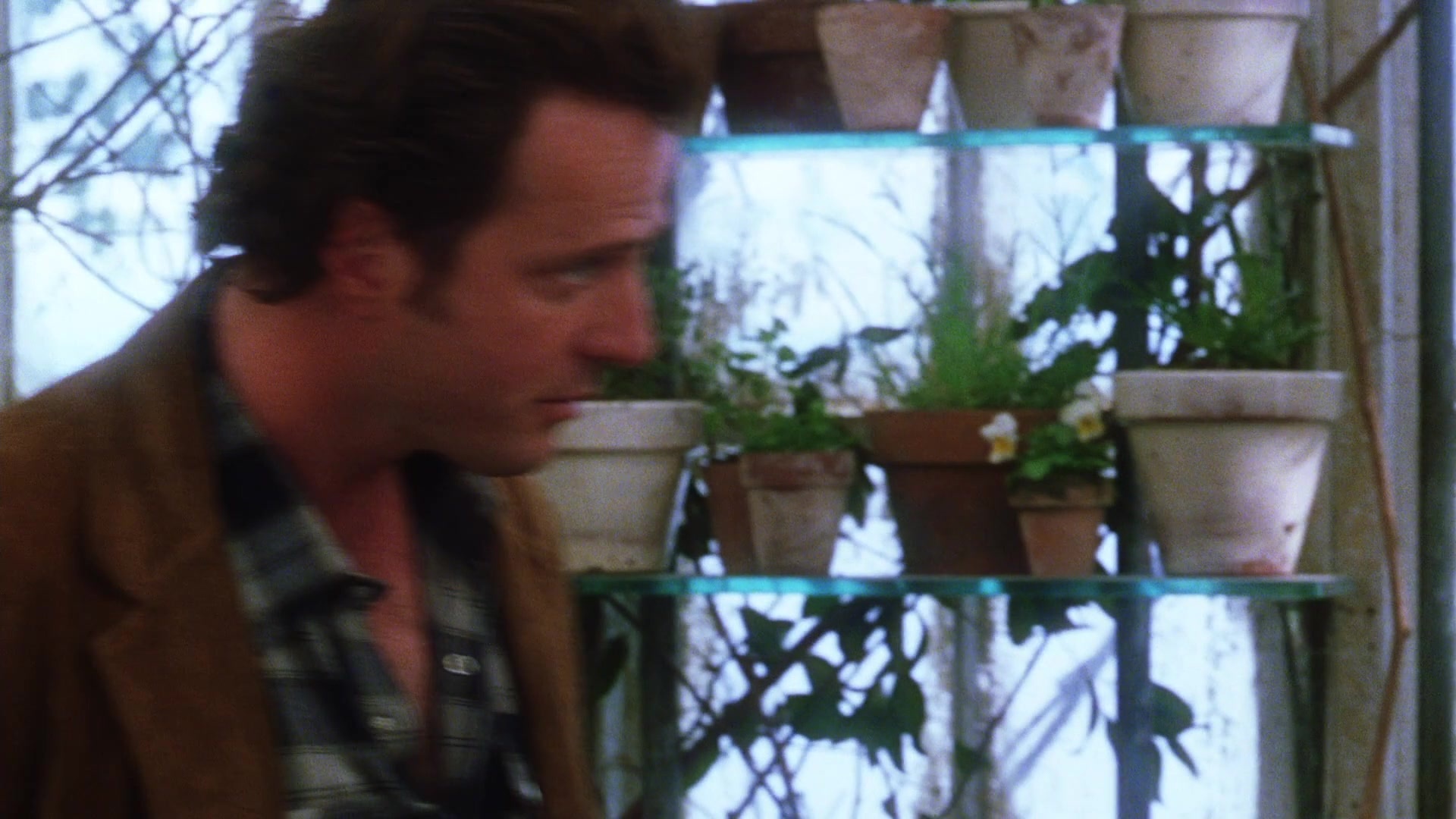 Practical Magic (1998), wide, 1.78:1 — film still