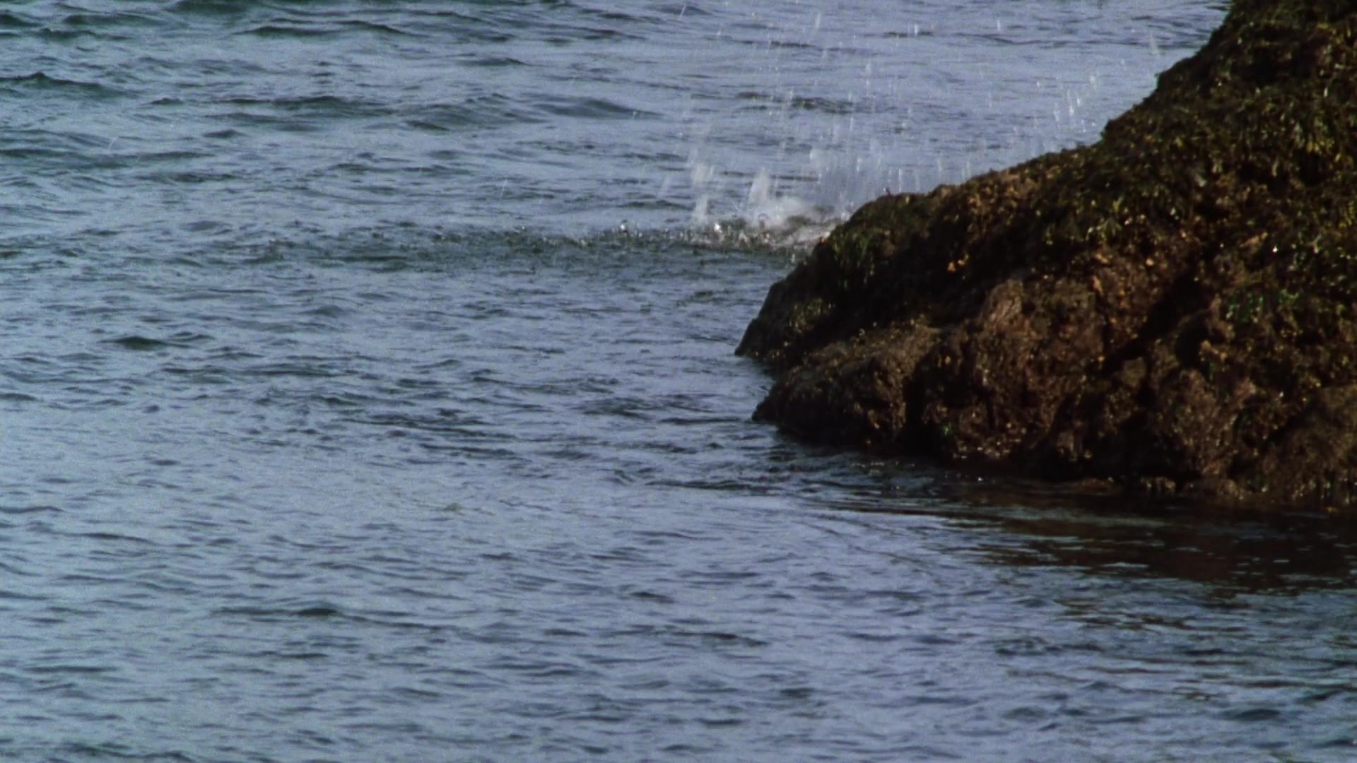 Practical Magic (1998), unknown, 1.78:1 — film still