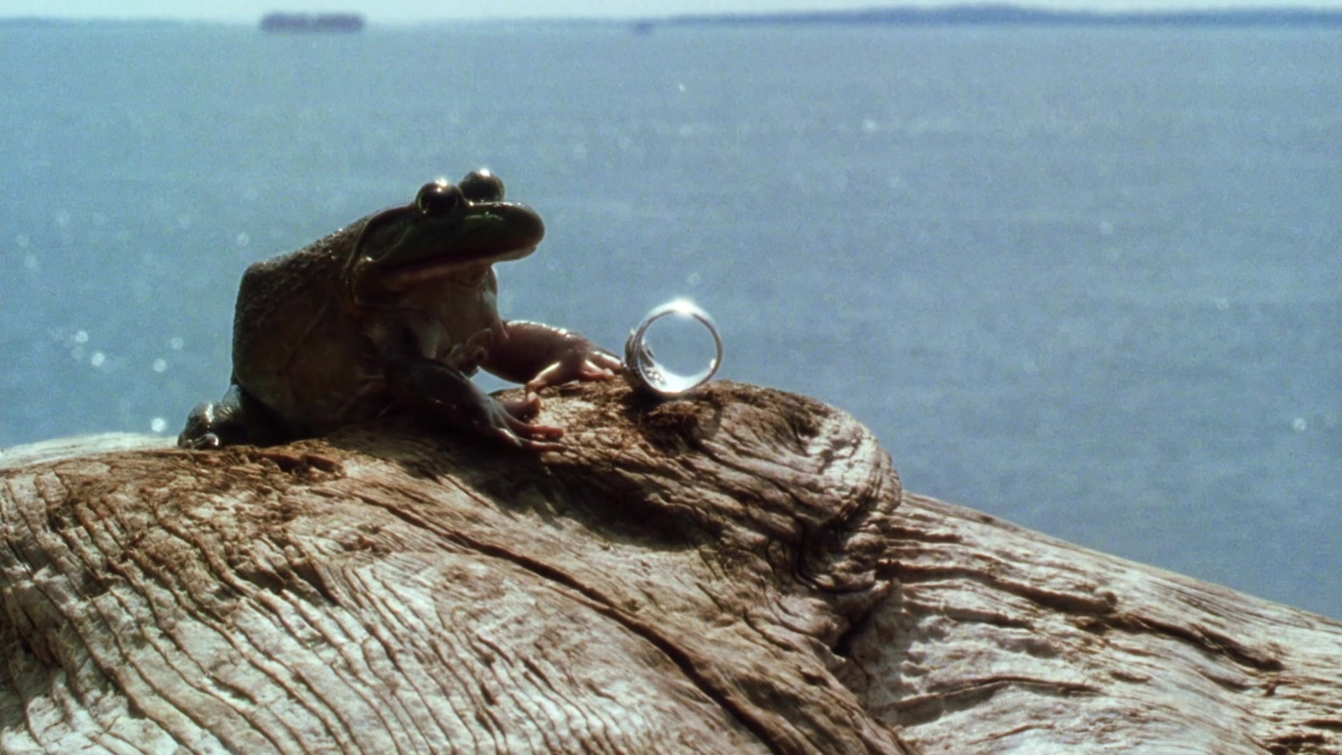 Practical Magic (1998), unknown, 1.78:1 — film still