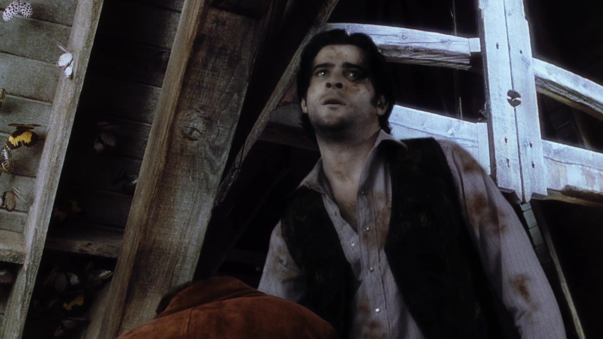 Practical Magic (1998), wide, 1.78:1 — film still