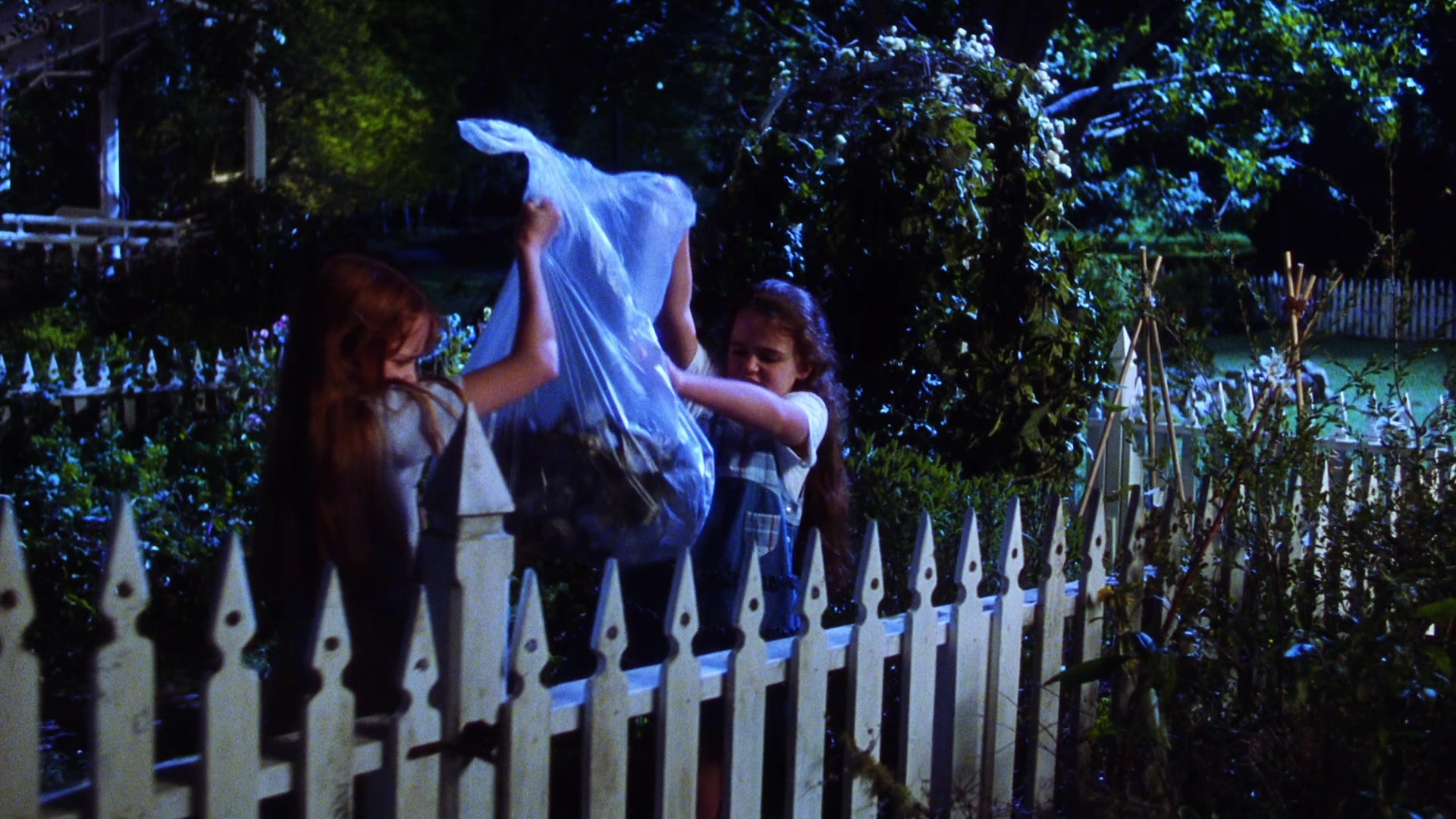 Practical Magic (1998), wide, 1.78:1 — film still