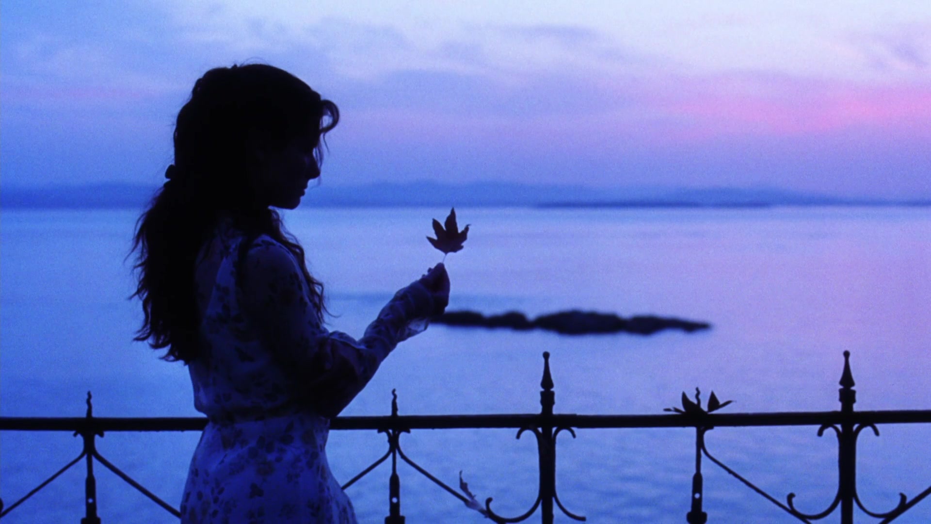 Practical Magic (1998), wide, 1.78:1 — film still
